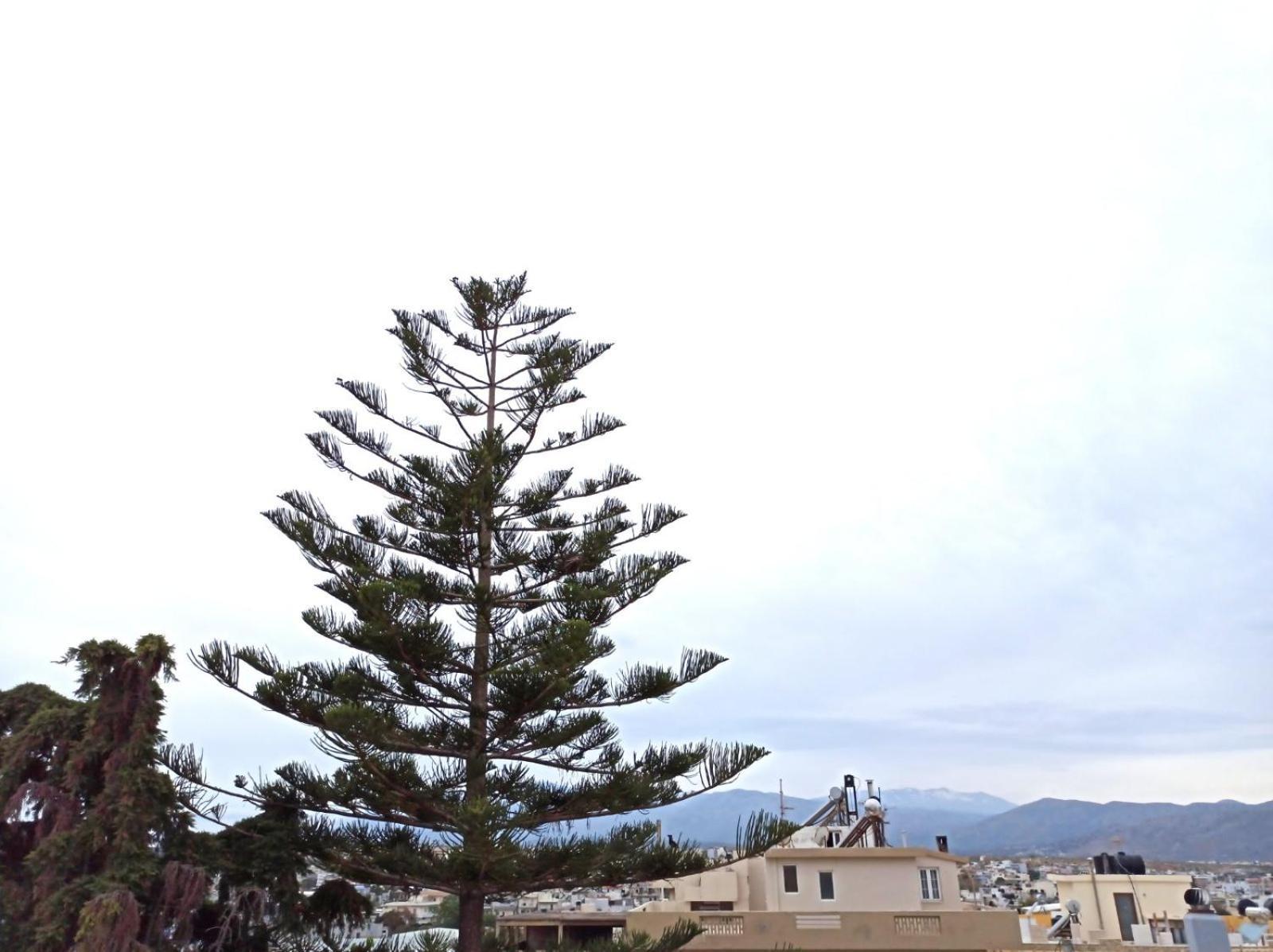 Renovated Loft Near The Center Lägenhet Heraklion Exteriör bild